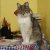 Отзыв от Алла Дубровина
